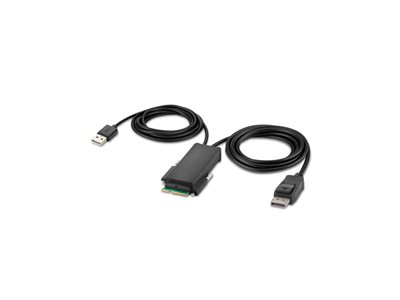 Belkin Secure Modular DP Single Head Console Cable