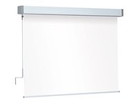 Projecta Hapro Manual Classic projection screen - square - 133" (338 cm)