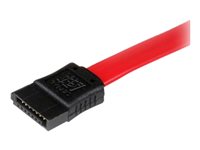 StarTech .com Cable d'extension SATA de 30 cm
