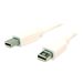 Bytecc Mini DisplayPort Male to Male Video