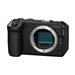 Canon EOS R6 V