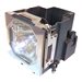eReplacements POA-LMP146-ER Compatible Bulb - projector lamp