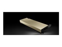 NVIDIA L4 - GPU computing processor - L4 - 24 GB - for P/N: HCIAF220C-M7SN, HCIAF240C-M7SN-FRE, HCINX220C-M8S, HCINX225C-M8SN, HCINX240C-M8E3S