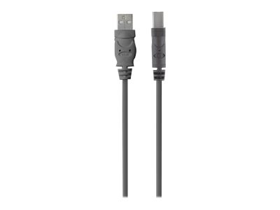 Belkin Premium Printer Cable USB cable USB Type B (M) to USB (M) USB 2.0 6 ft mold