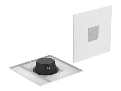 Atlas Sound DT22 - Speaker