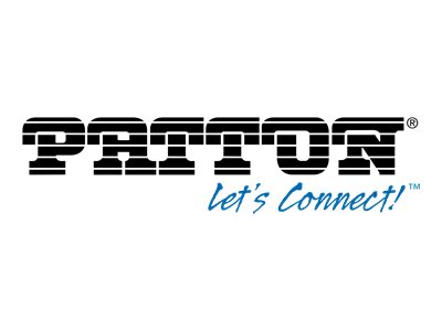 PATTON SmartNode 200 2x FXS VoIP