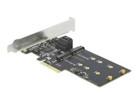 DeLOCK 3 port SATA and 2 slot M.2 Key B PCI Express x4 Card - Low Profile Form Factor Lagringskontrol