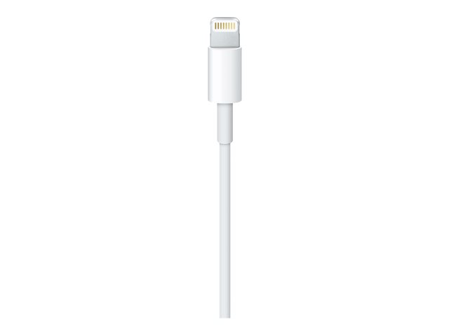 Apple - Lightning cable - Lightning male to USB male - 50 cm 