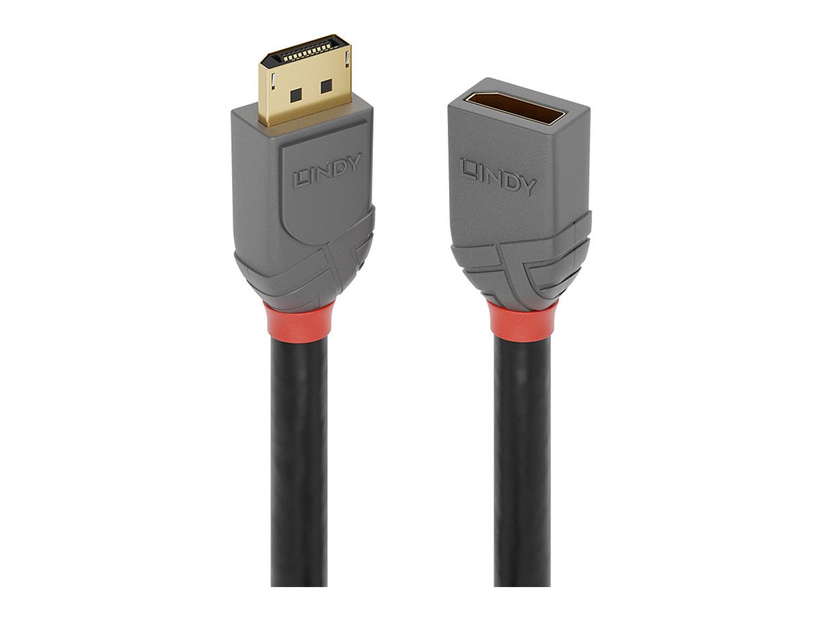 LINDY 0.5m DP Extension Cable Anthra