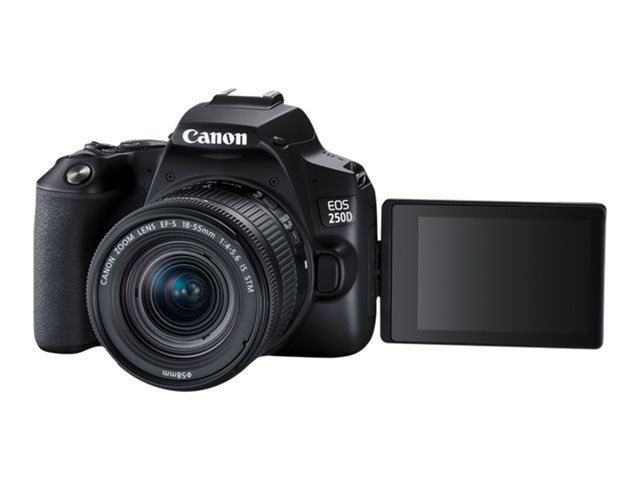Image of Canon EOS 250D - digital camera EF-S 18-55mm IS STM lens