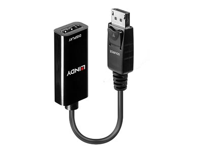LINDY DisplayPort / HDMI 4K Adapterkabel