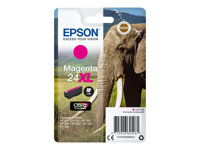 Epson Cartouches Jet d'encre d'origine C13T24334022