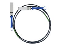 NVIDIA Passive Copper Cables - InfiniBand cable - 2 m