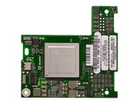 QLogic QME2572 - Host bus adapter