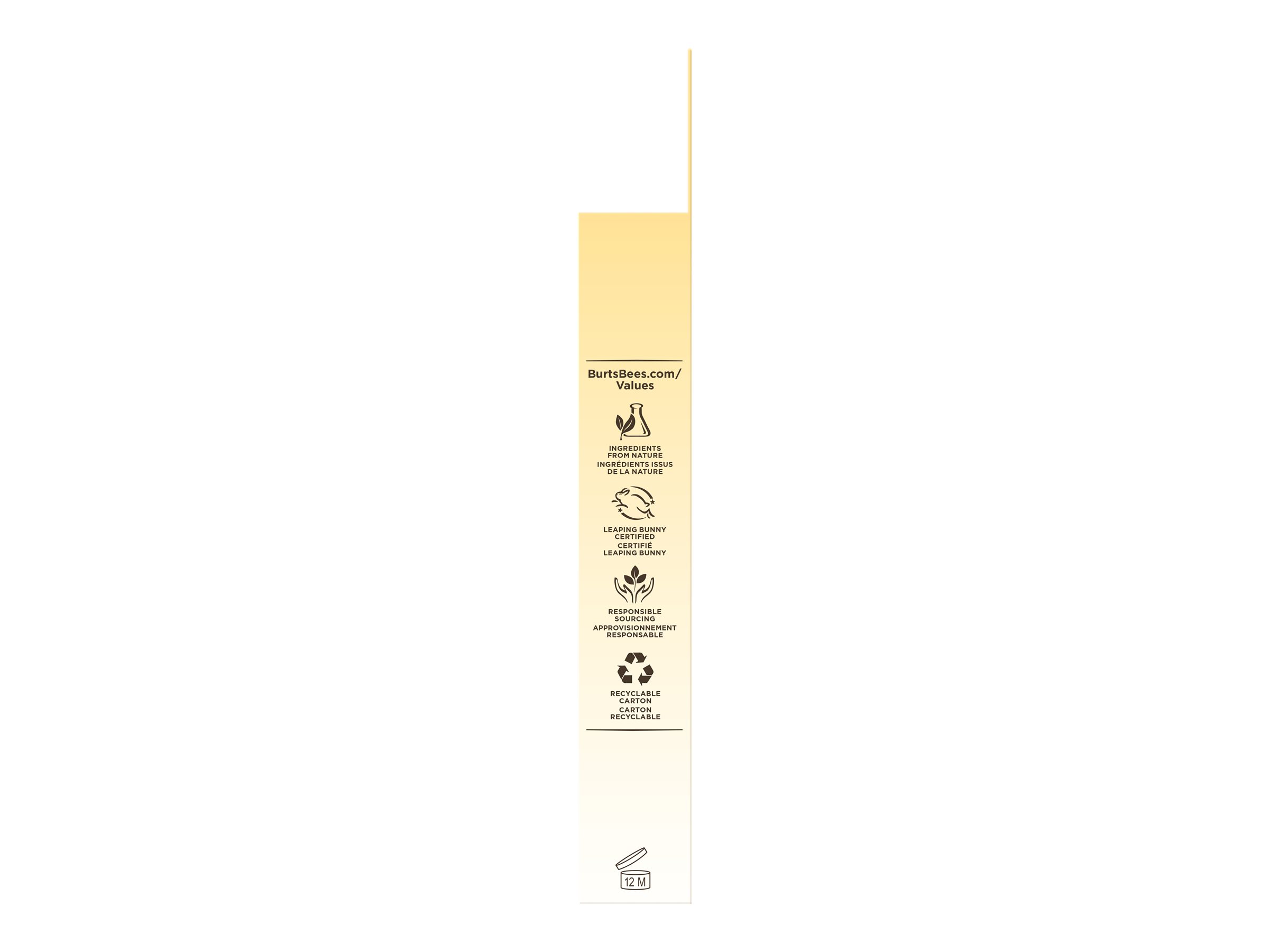 BURTS BEES LIP OIL P/FRUIT