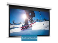 Da-Lite DescenderPro projection screen - 144" (366 cm)