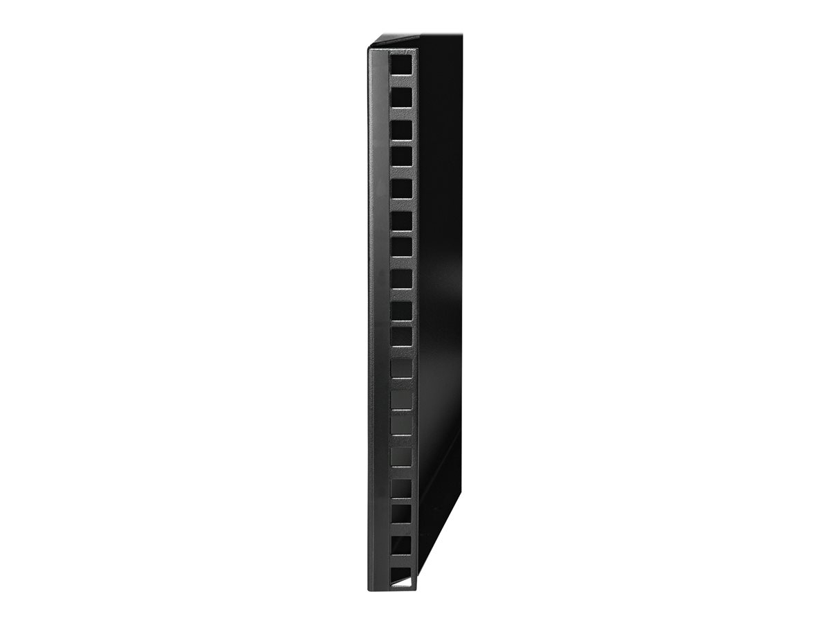 StarTech.com Wall Mount Patch Panel Bracket - 6U - 14in Deep (WALLMOUNT6) - skříň - 6U – foto 6