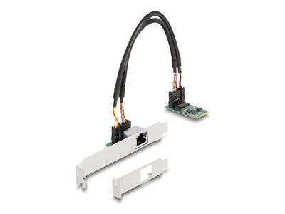 DELOCK Konverter M.2 Key B+M 1 x RJ45 2,5 Gigabit LAN