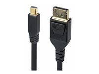 StarTech Mini DP to DisplayPort 1.4 Cable 8K 60Hz HBR3 4K - DisplayPort cable - Mini DisplayPort to DisplayPort - 3.1 m