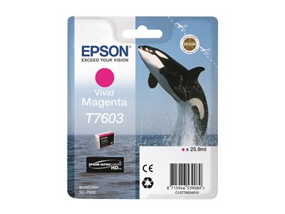 EPSON 5LB T7603 ink cartridge vivid mag, EPSON  (BILD1)