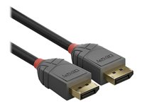 C ble DisplayPort 1.4, Anthra Line, 2m