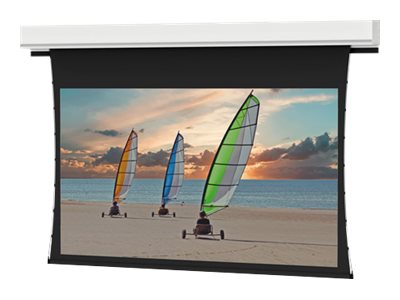 Da-Lite Tensioned Advantage Projection screen ceiling mountable motorized 120 V 