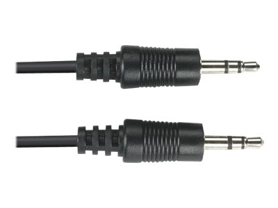 Black Box - Audio cable