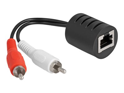 DELOCK Stereo Audio Extender RJ45 Bu zu 2x Cinch St 50m 2 St