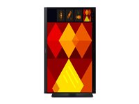 Samsung Ecran LED  LS22D400GAUXEN