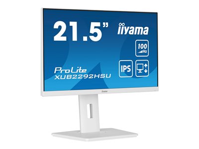 IIYAMA XUB2292HSU-W6, Monitore TFT Business-Monitore,  (BILD5)