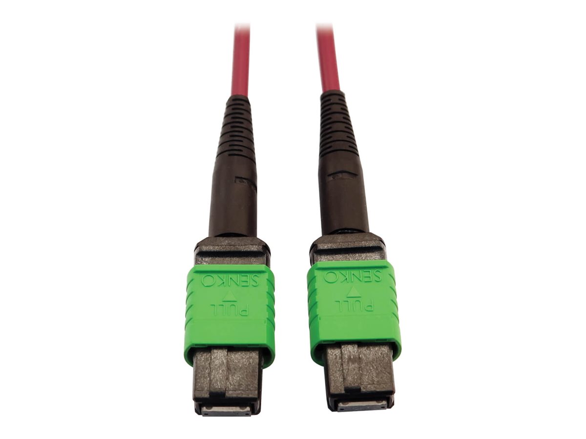 Eaton Tripp Lite Series 400G Multimode 50/125 OM4 Plenum-Rated Fiber Optic Cable, 16F MTP/MPO-APC (F/F), Magenta, 3 m