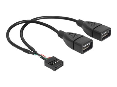 DELOCK USB Kabel Pinheader 10Pin -> 2x A Bu/Bu 0.20m - 83292