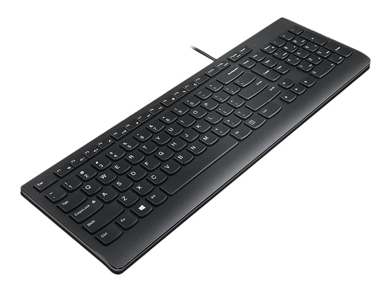 Lenovo Essential - klávesnice - česká/slovenská - černá Vstupní zařízení – foto 3