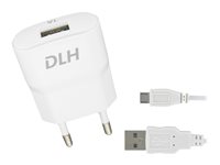 DLH Energy Chargeurs compatibles  DY-AU1870