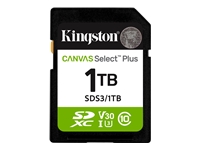 Kingston Canvas Select Plus