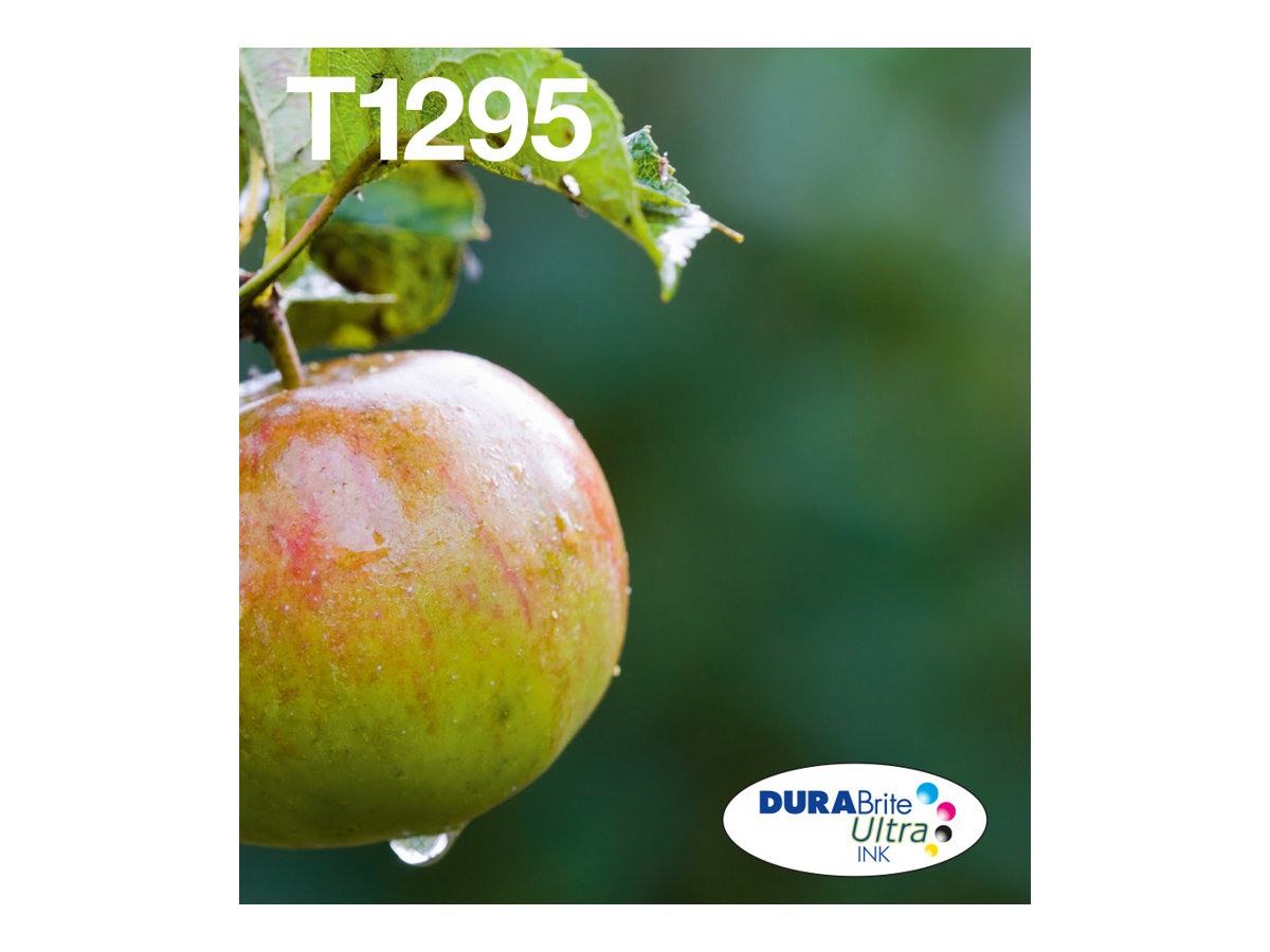 EPSON 2LB T129 EasyMail multipack Inkt