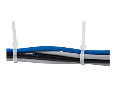 STARTECH Kabelbinder 254x4mm 1000 Stück