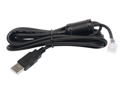 APC Kabel USB zu RJ45 - AP9827