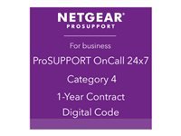 Netgear ProSupport PMB0314-10000S
