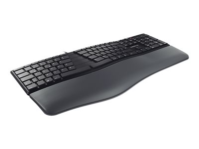 KC 4500 ERGO - keyboard - QWERTZ - German - black 