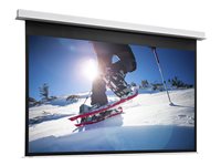 Projecta Tensioned DescenderPro projection screen - 172" (437 cm)