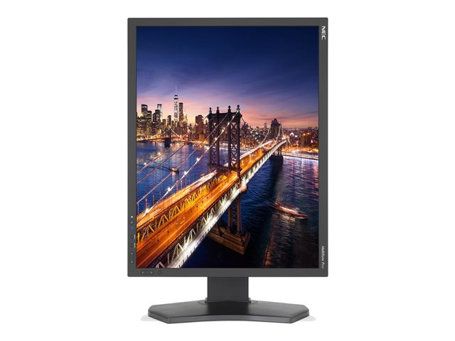 nec multisync p212