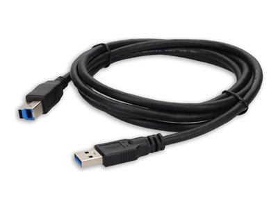 AddOn - USB cable - USB Type A (M) to USB Type B (M)