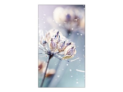 Samsung VM46R-U 46 LED display