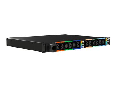 Lenovo - Power distribution unit (rack-mountable)