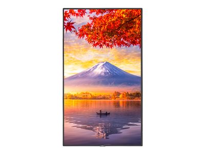 NEC MultiSync MA551-PT