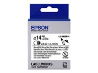 Epson Accessoires pour imprimantes C53S656903