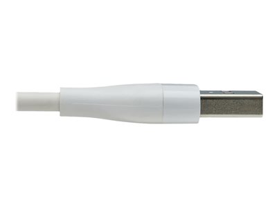 EATON M101AB-004-LMCW, Kabel & Adapter Kabel - USB & USB  (BILD3)