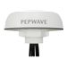 Peplink | Pepwave Puma 221