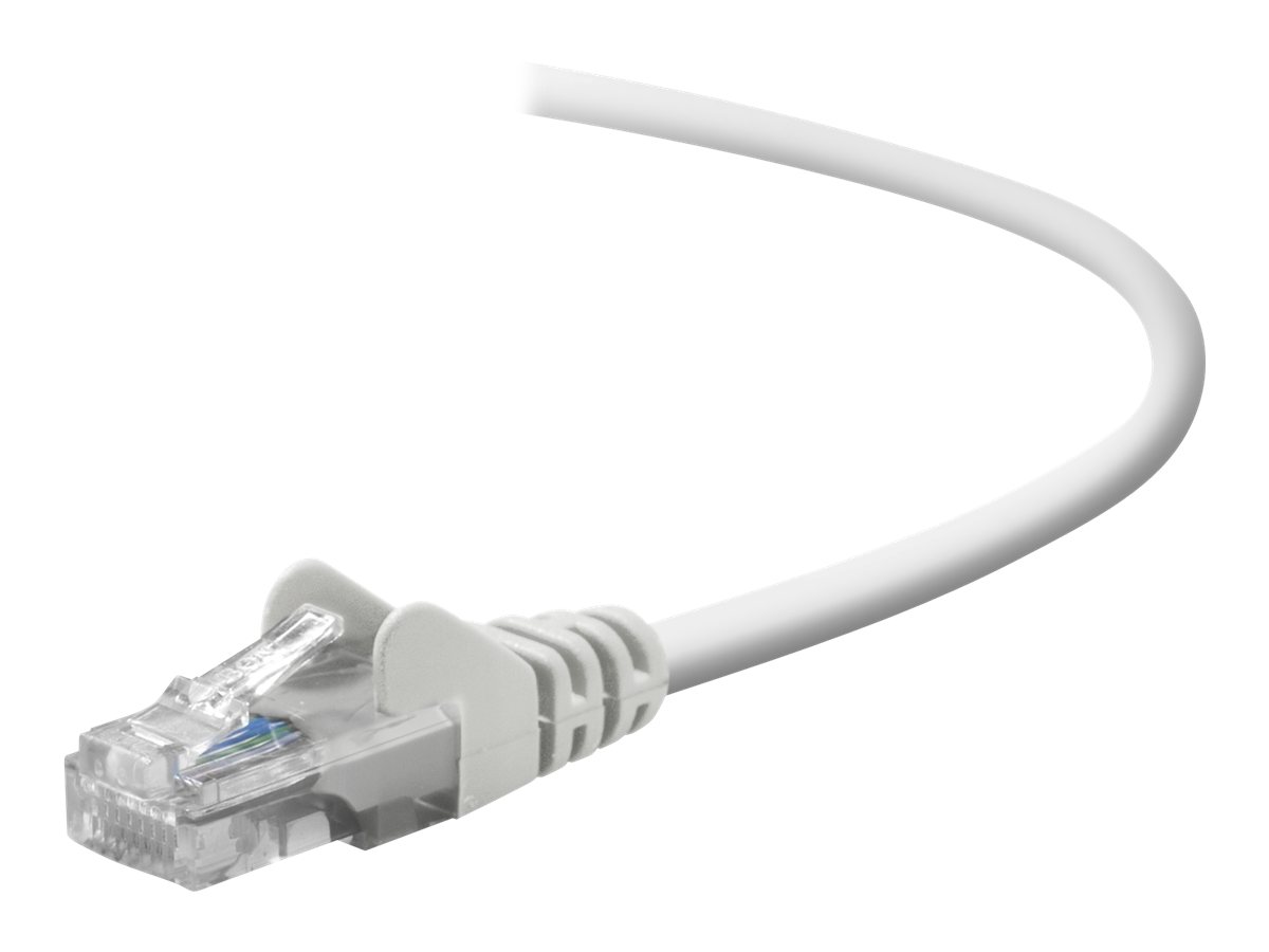 Belkin - Patch cable